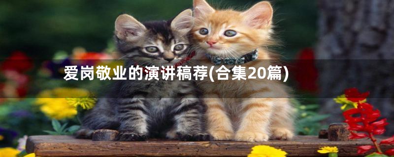 爱岗敬业的演讲稿荐(合集20篇)