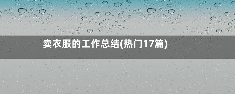 卖衣服的工作总结(热门17篇)