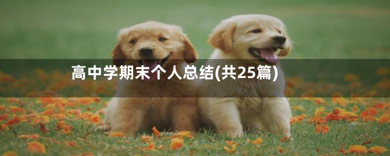 高中学期末个人总结(共25篇)