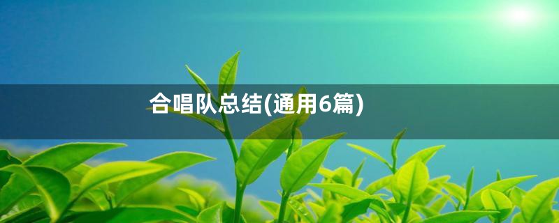 合唱队总结(通用6篇)