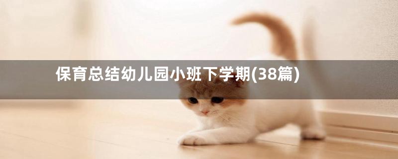 保育总结幼儿园小班下学期(38篇)