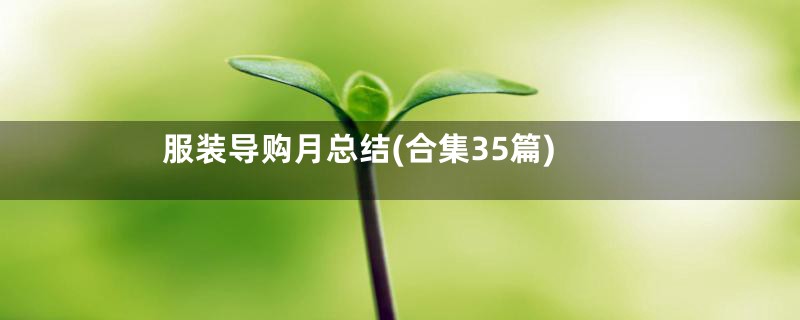 服装导购月总结(合集35篇)