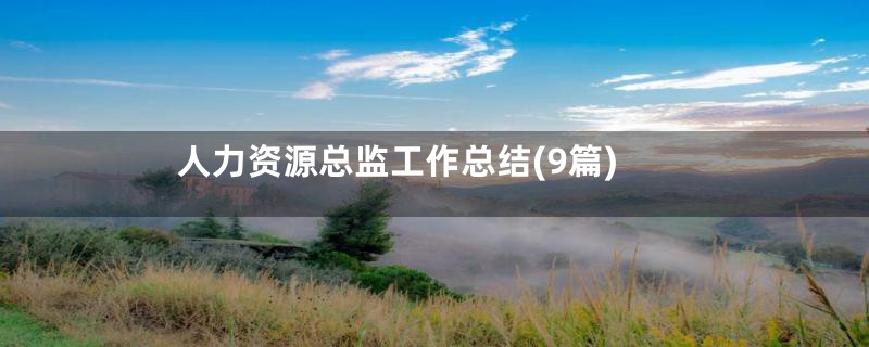 人力资源总监工作总结(9篇)