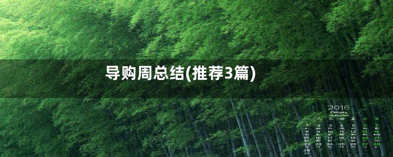 导购周总结(推荐3篇)