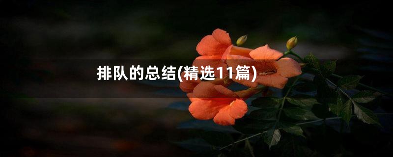 排队的总结(精选11篇)