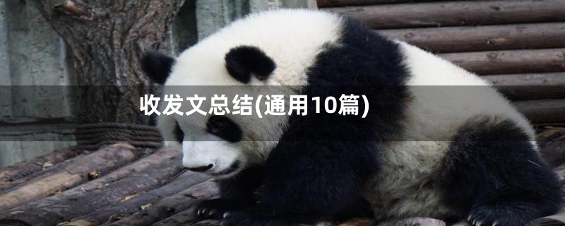 收发文总结(通用10篇)