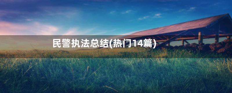 民警执法总结(热门14篇)