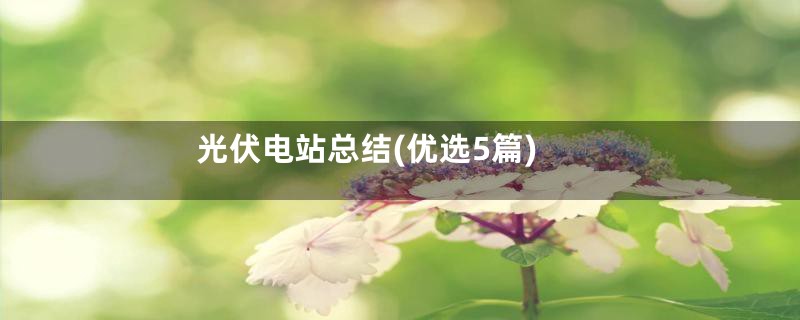 光伏电站总结(优选5篇)