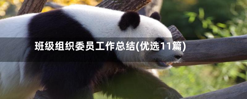 班级组织委员工作总结(优选11篇)