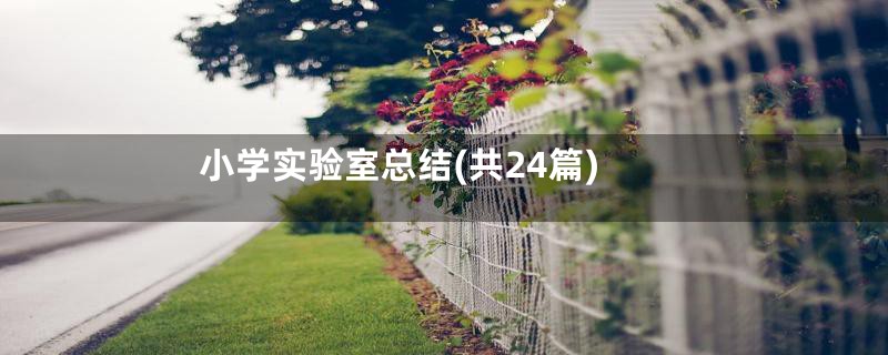 小学实验室总结(共24篇)