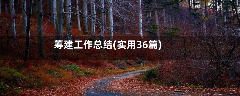 筹建工作总结(实用36篇)