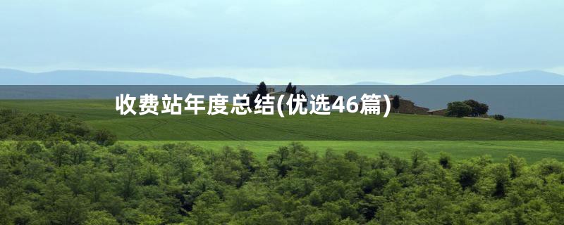 收费站年度总结(优选46篇)