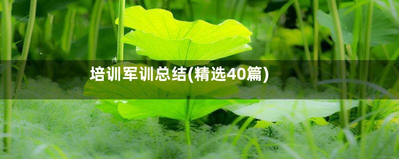 培训军训总结(精选40篇)
