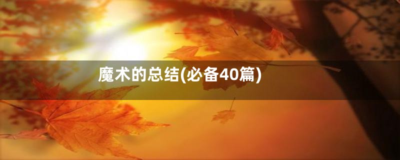 魔术的总结(必备40篇)