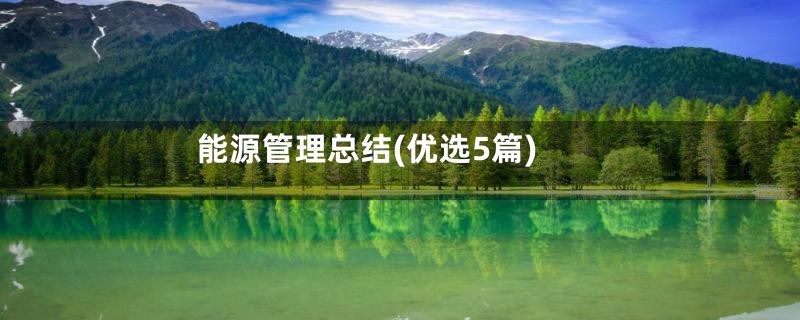 能源管理总结(优选5篇)