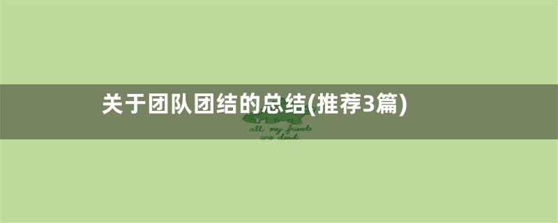 关于团队团结的总结(推荐3篇)