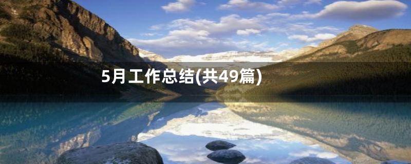5月工作总结(共49篇)