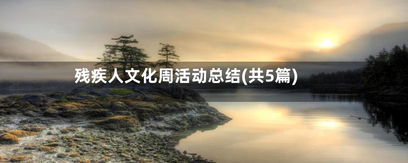残疾人文化周活动总结(共5篇)