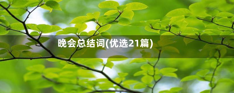 晚会总结词(优选21篇)