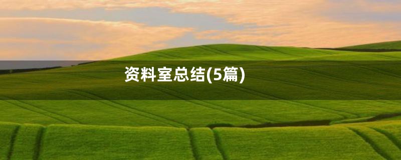 资料室总结(5篇)