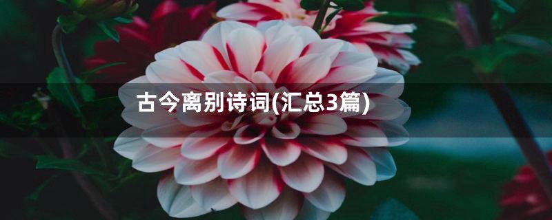 古今离别诗词(汇总3篇)