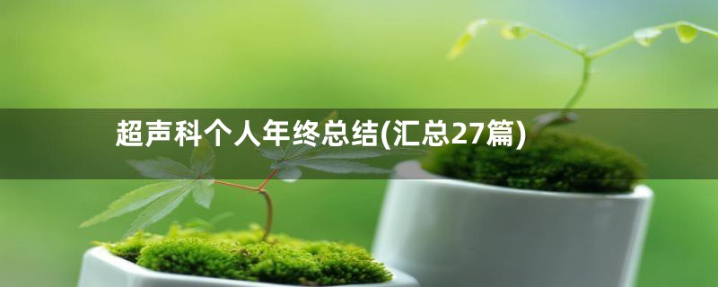 超声科个人年终总结(汇总27篇)