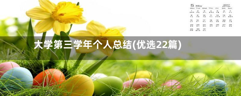 大学第三学年个人总结(优选22篇)