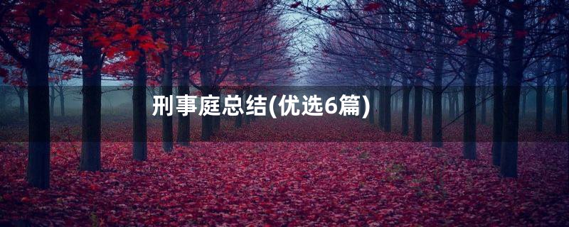 刑事庭总结(优选6篇)