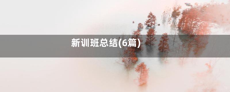 新训班总结(6篇)
