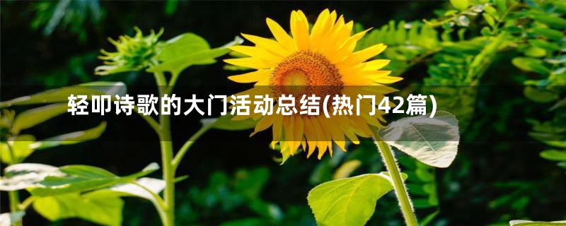 轻叩诗歌的大门活动总结(热门42篇)
