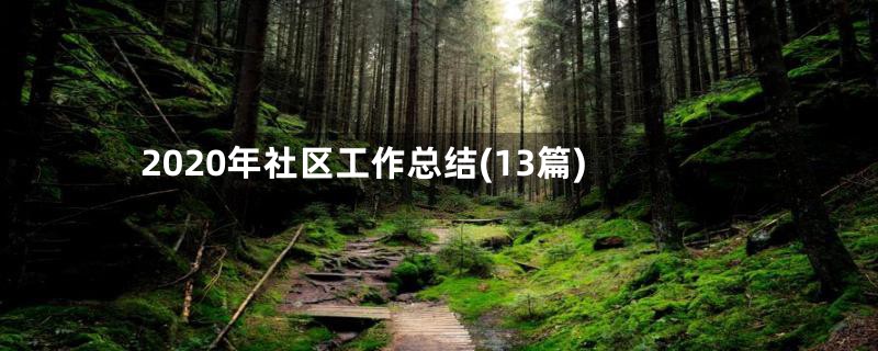 2020年社区工作总结(13篇)