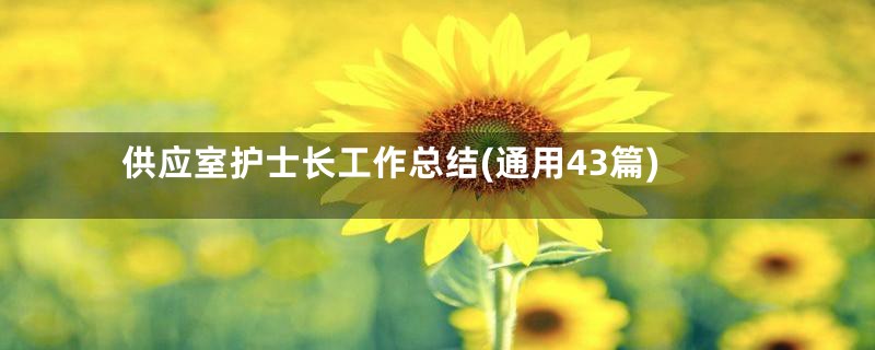 供应室护士长工作总结(通用43篇)