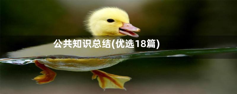 公共知识总结(优选18篇)