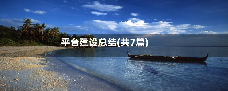 平台建设总结(共7篇)