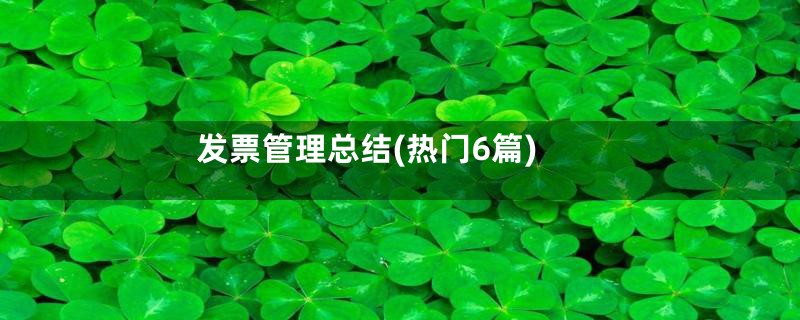 发票管理总结(热门6篇)
