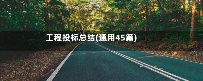 工程投标总结(通用45篇)