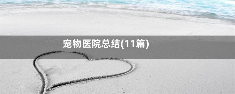 宠物医院总结(11篇)