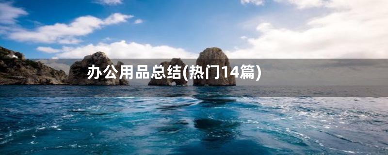 办公用品总结(热门14篇)