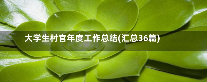 大学生村官年度工作总结(汇总36篇)