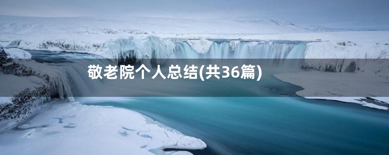 敬老院个人总结(共36篇)