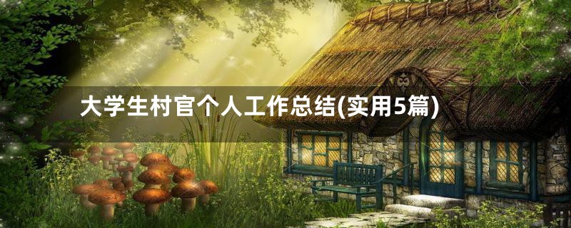 大学生村官个人工作总结(实用5篇)