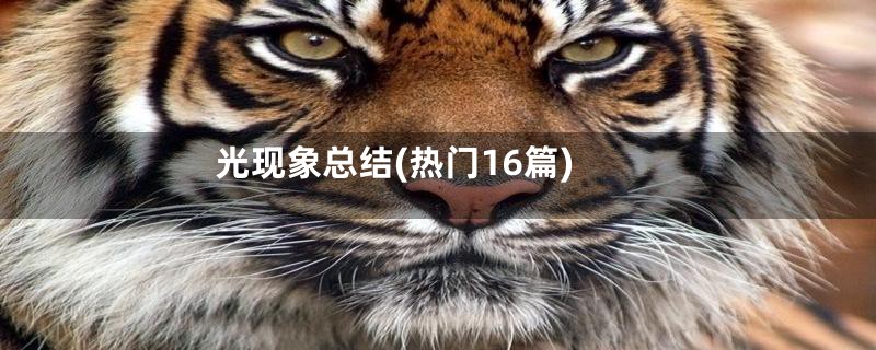 光现象总结(热门16篇)