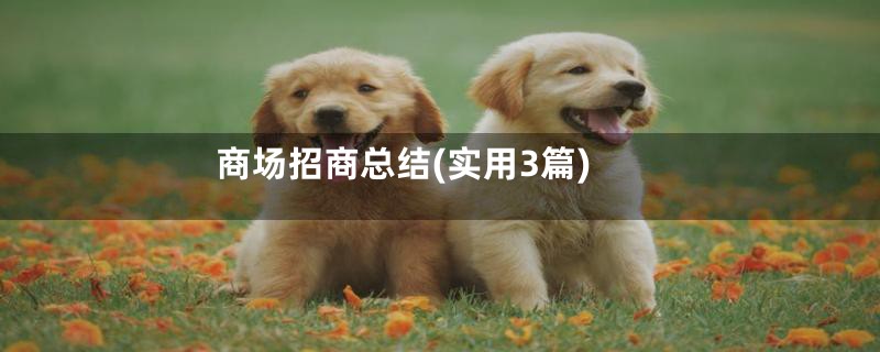 商场招商总结(实用3篇)