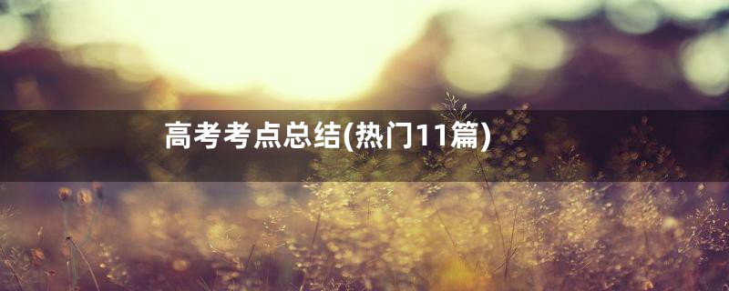 高考考点总结(热门11篇)