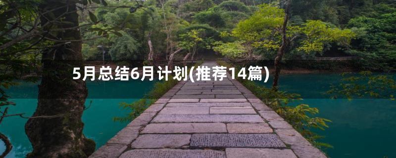 5月总结6月计划(推荐14篇)