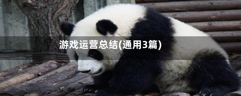 游戏运营总结(通用3篇)