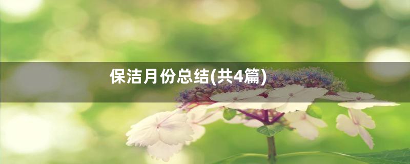 保洁月份总结(共4篇)