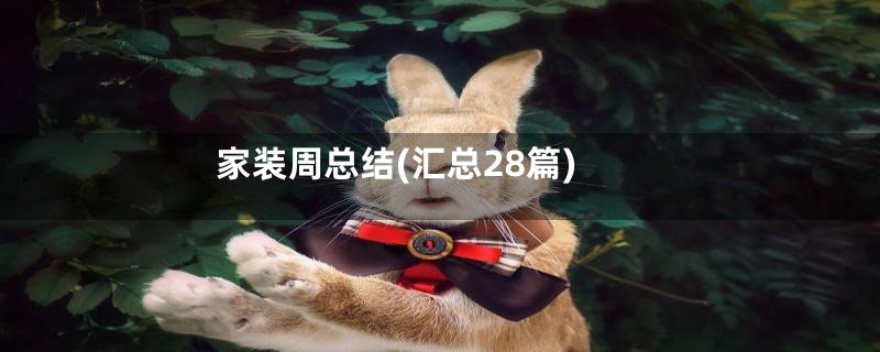 家装周总结(汇总28篇)