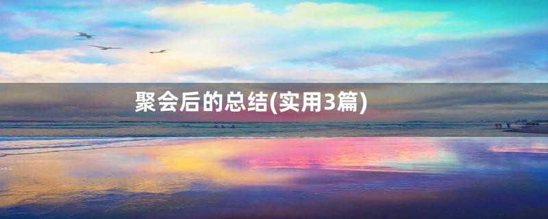 聚会后的总结(实用3篇)