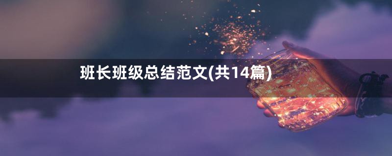 班长班级总结范文(共14篇)